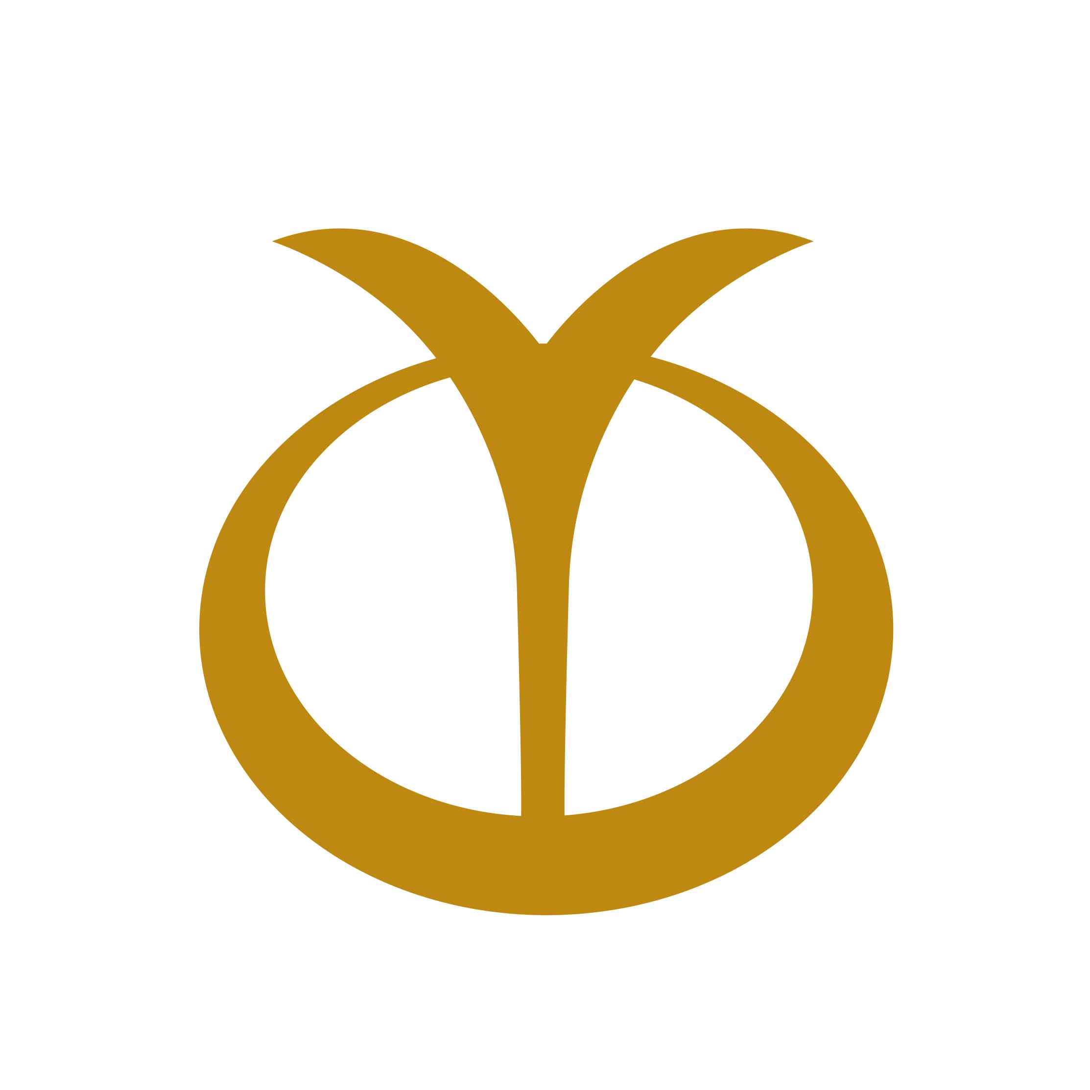佛山市博新渔具有限公司